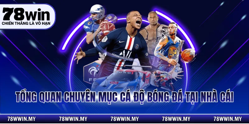 Tổng quan chuyên mục cá độ tại nhà cái 78WIN