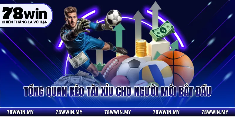 Tổng quan cược tài xỉu cho người mới bắt đầu